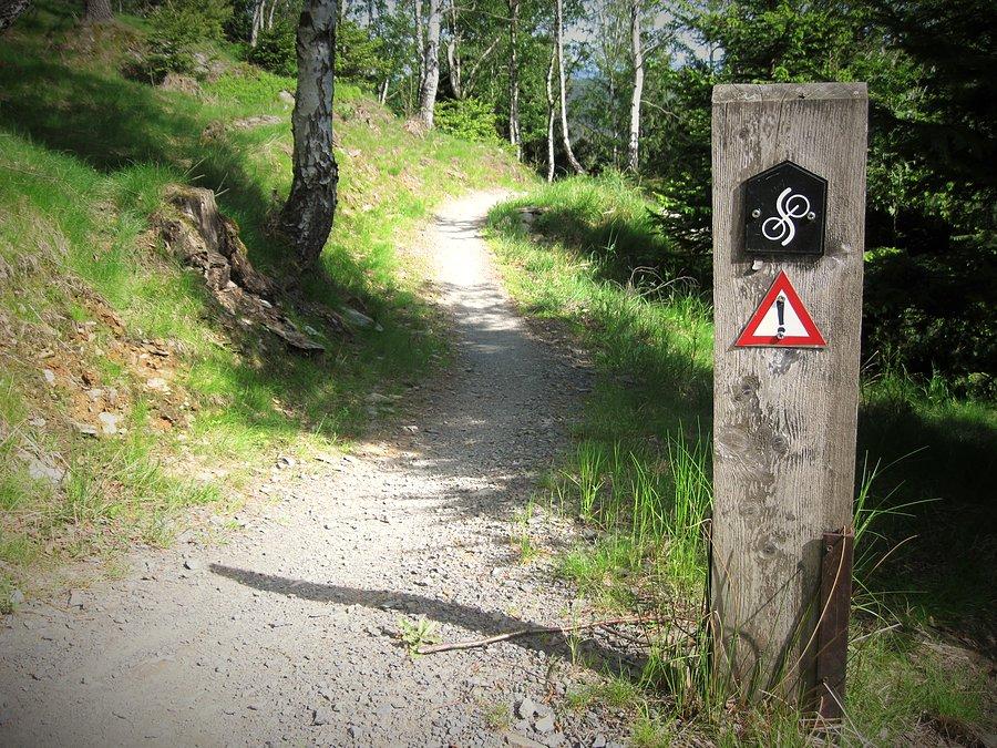 Single Track Czerniawska Kopa