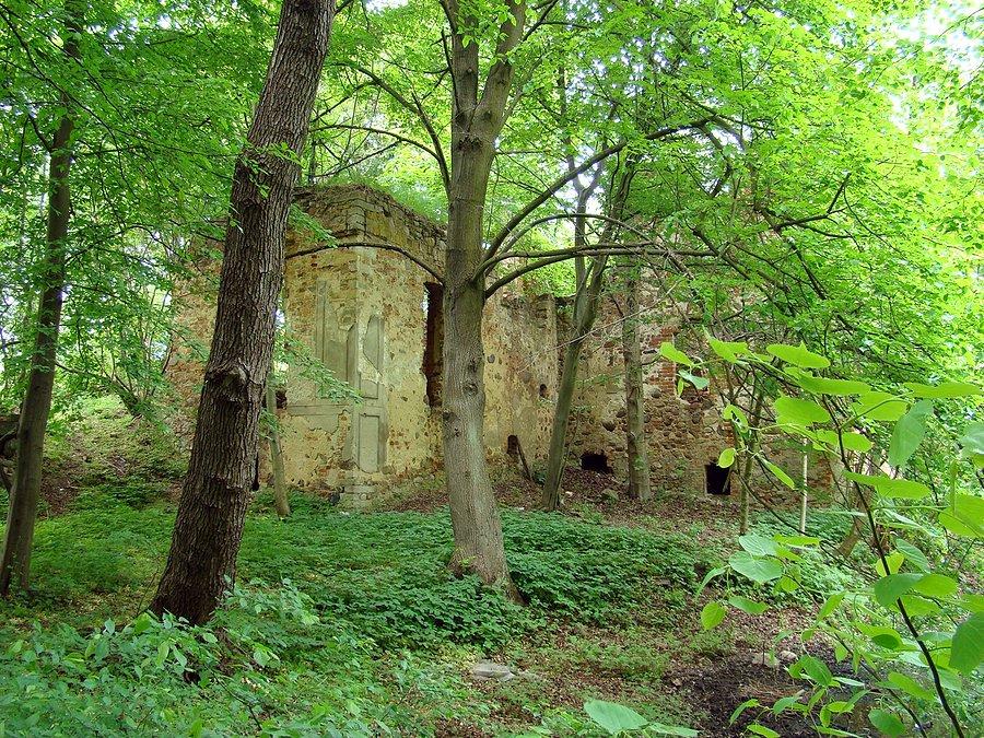 Grodziszcze. Unikalny zabytyek architektury - pozostałości dawnej siedziby rycerskiej