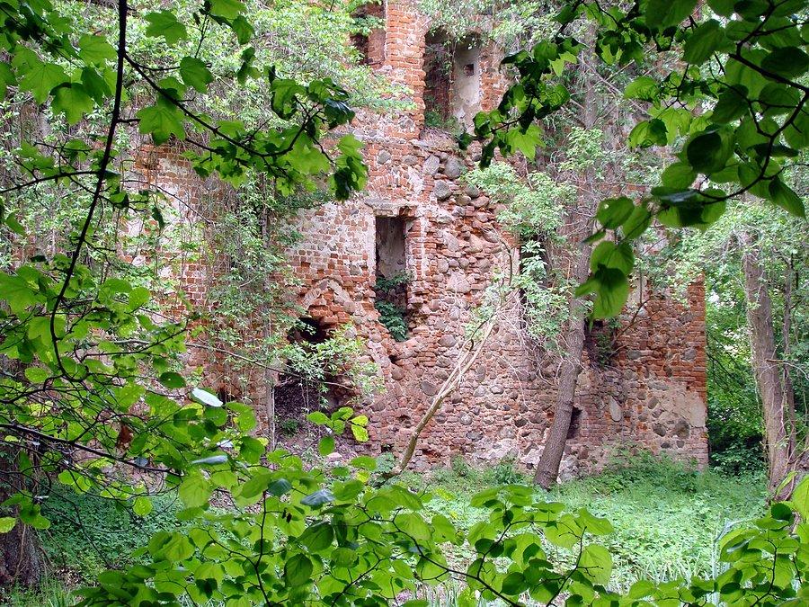 Pozostałości pałacu w Grodziszczu, dawnej siedziby rycerskiej