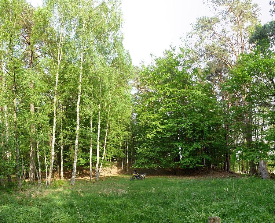 Grodzisko Schlosswerder