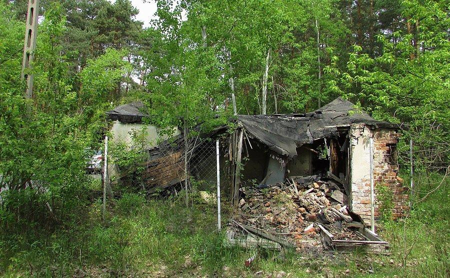 Ruiny stróżówki cmentarza żydowskiego w Radości
