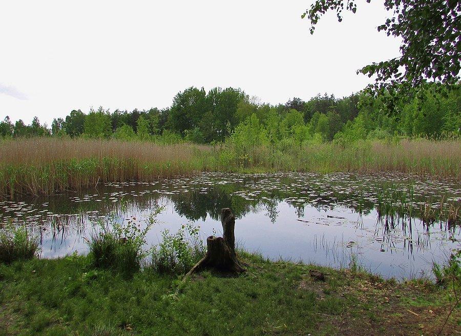 Jezioro Torfy