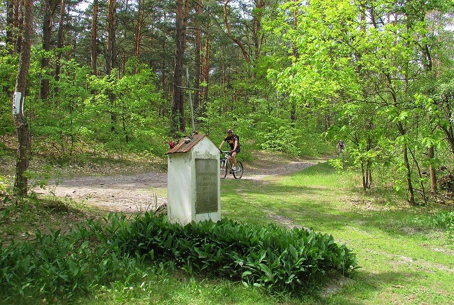 Mazowiecki Park Krajobrazowy - kapliczka przy czerwonym szlaku