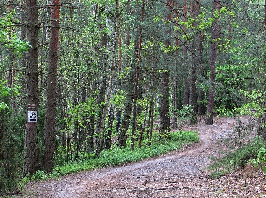 Wawerski Szlak MTB