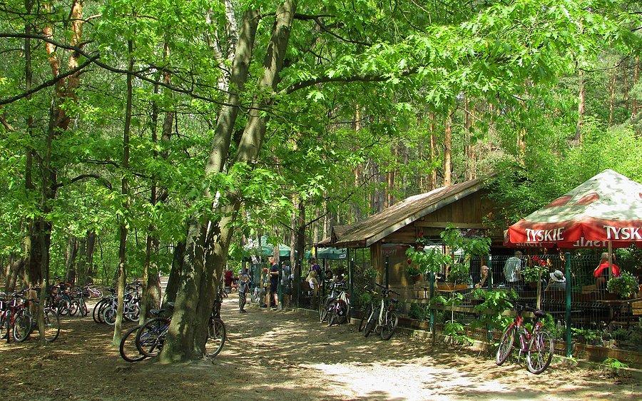 Karczma Daków