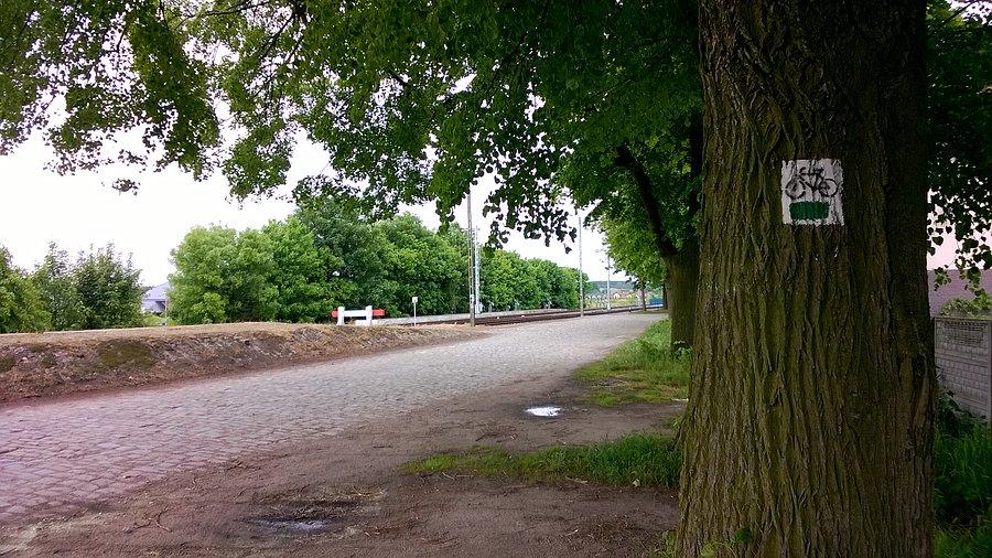 Zielony szlak rowerowy - Szreniawa