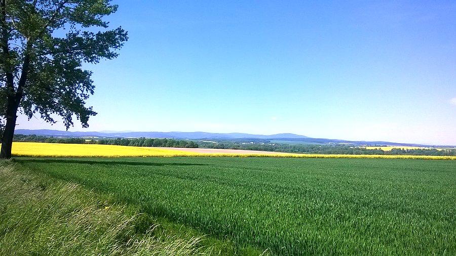 Widok na góry opawskie