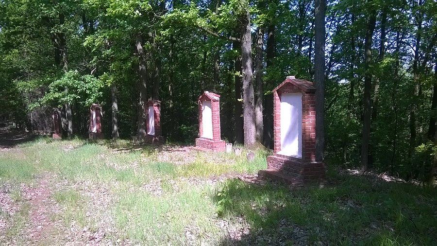 Tu miały być ruiny hradu fulstejn