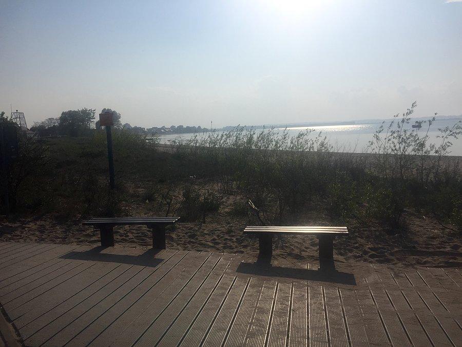 Rewa i zatoka