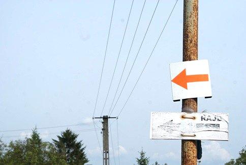 Może by na rajd pojechać?