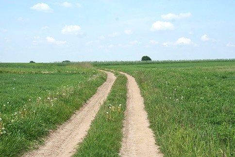 Polnymi drogami mknę