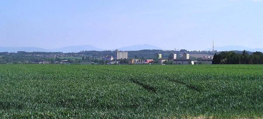 Widoki