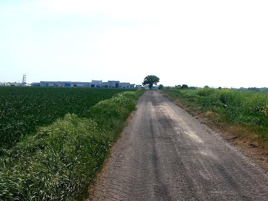 Droga Sklain - Koszewo