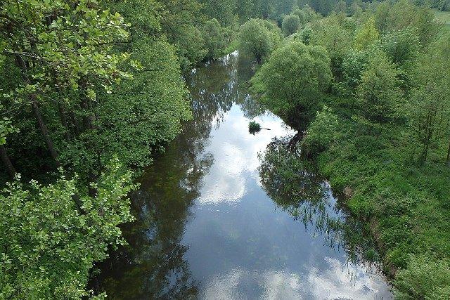 Skrwa pomiędzy zielenią