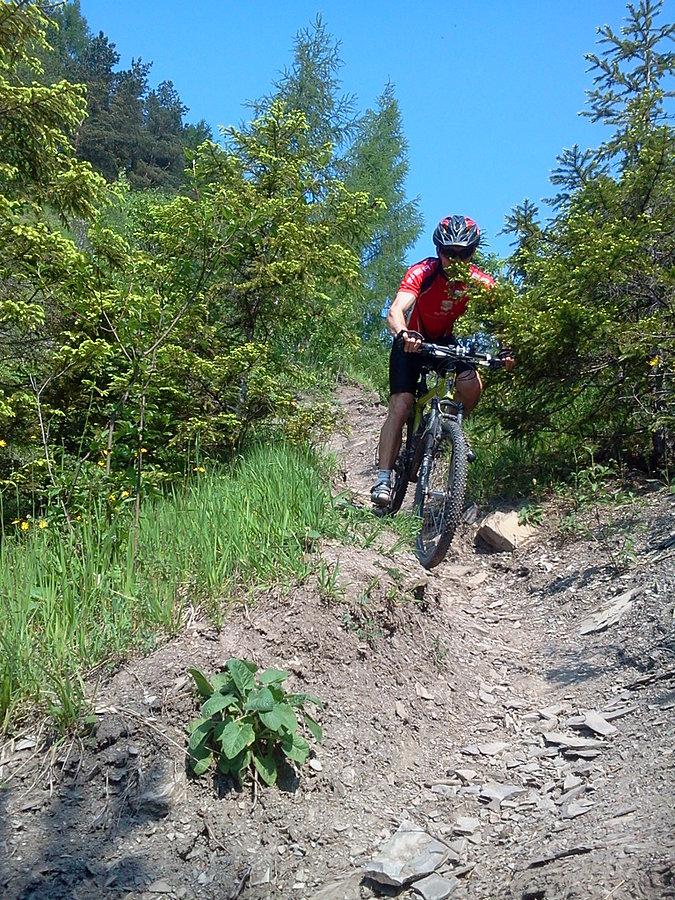 Z bikerem