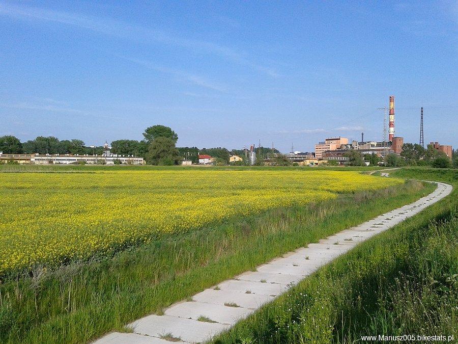 W drodze do Nowakowa, na horyzoncie elektrociepłownia Elbląg