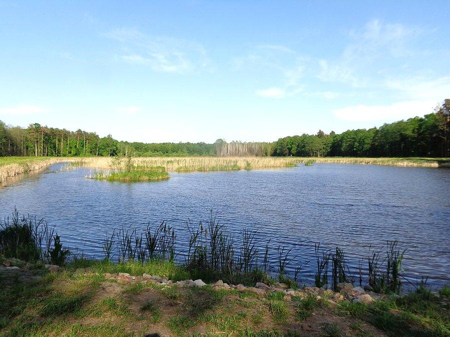 Jakaś kałuża