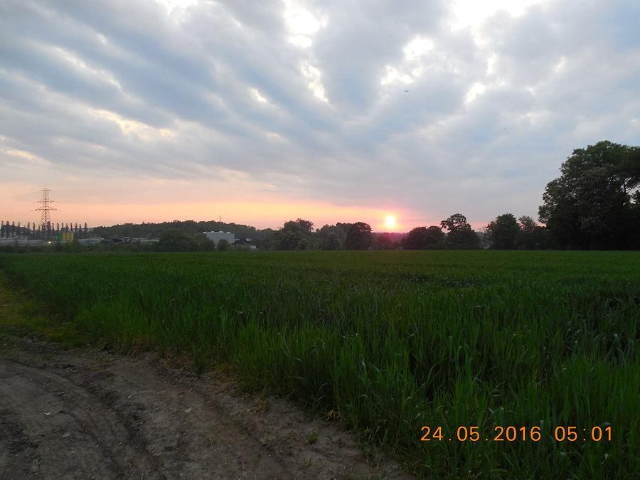 Wschód słońca w Maciejkowicach