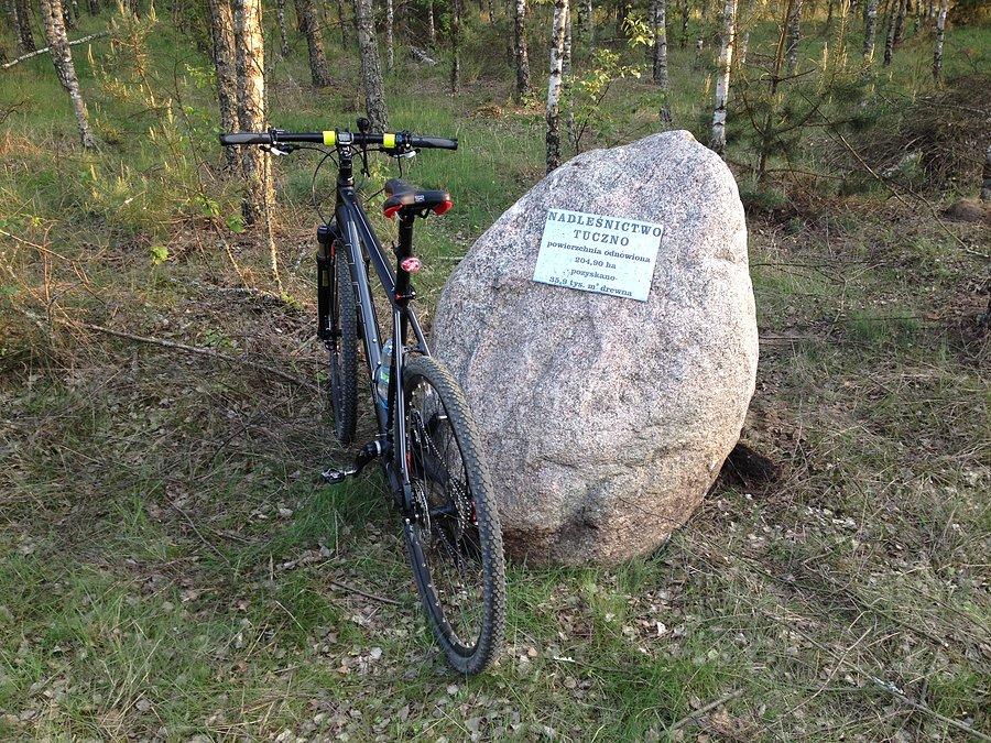 W Puszczy Noteckiej - na trasie Wieleń - Miały