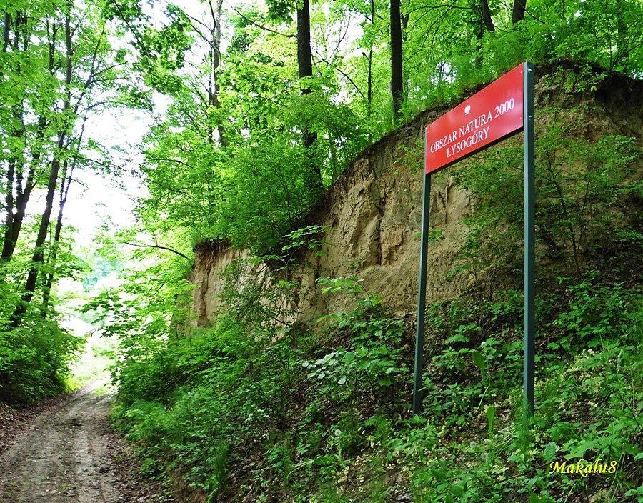 Natura 2000 Łysogóry