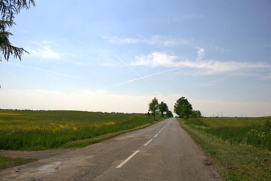 Na drodze 122