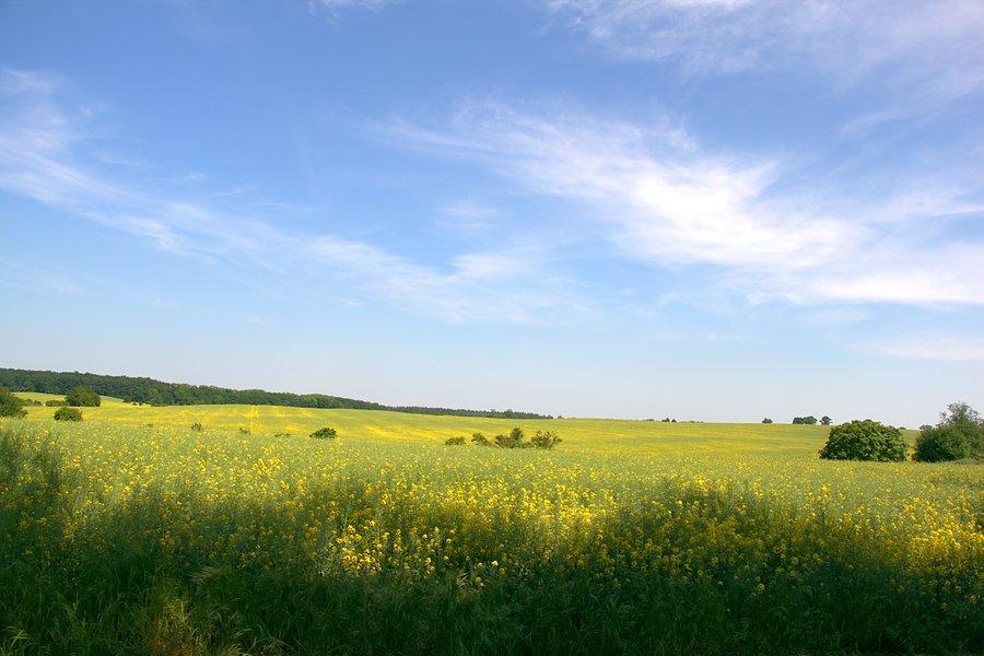 Przydrożne krajobrazy