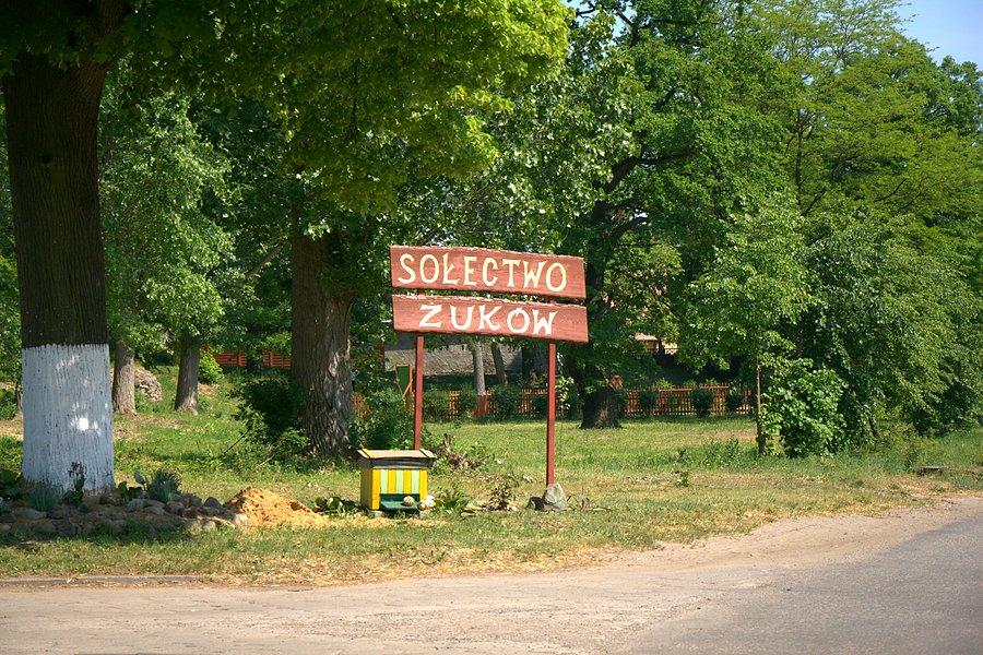 Już w Żukowie