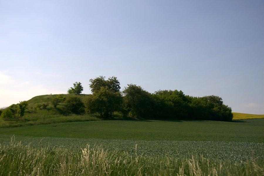 Rezerwat Brodogóry