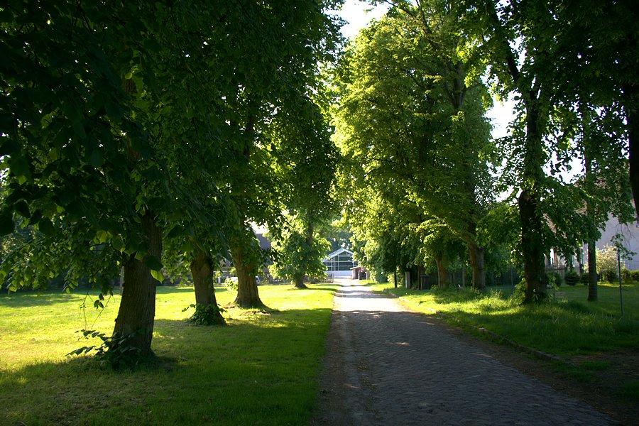 Trafiłem na jakieś domy które tylko na satelitarnej mapie widać :)