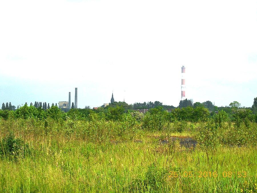 Widok w stronę Zaborza z terenów poprzemysłowych przy ulicy Zajęczej w Rudzie