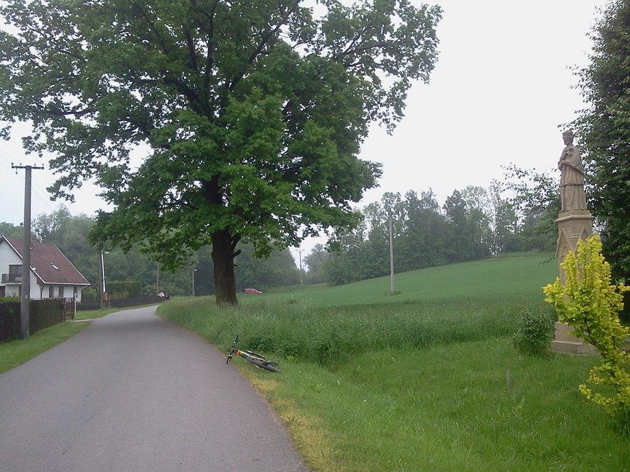 Vojkovice