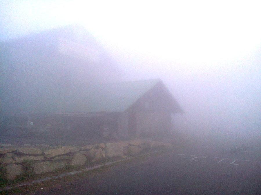 Jest i schronisko