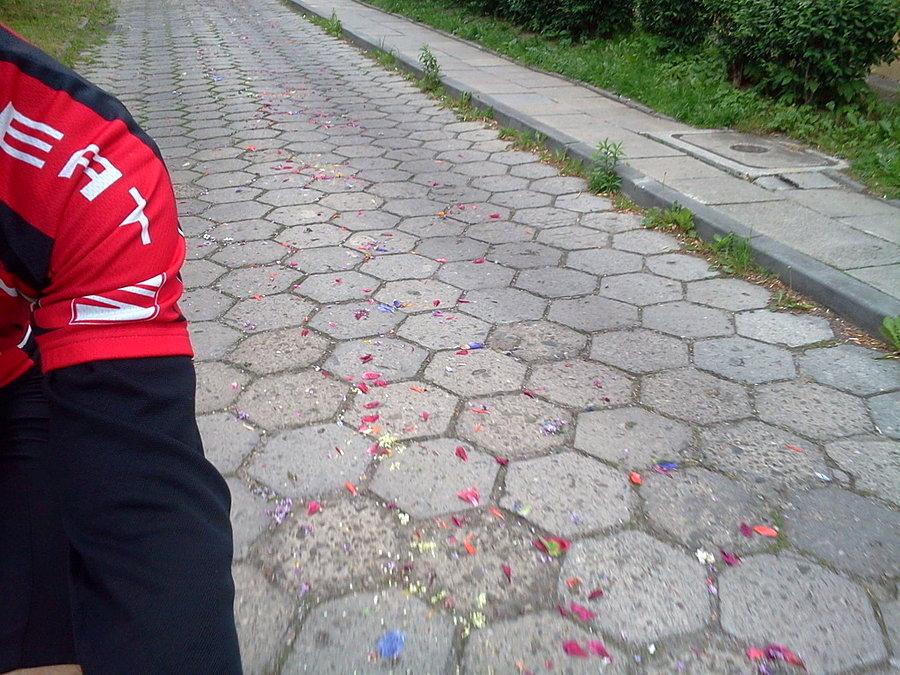 Nie trzeba było