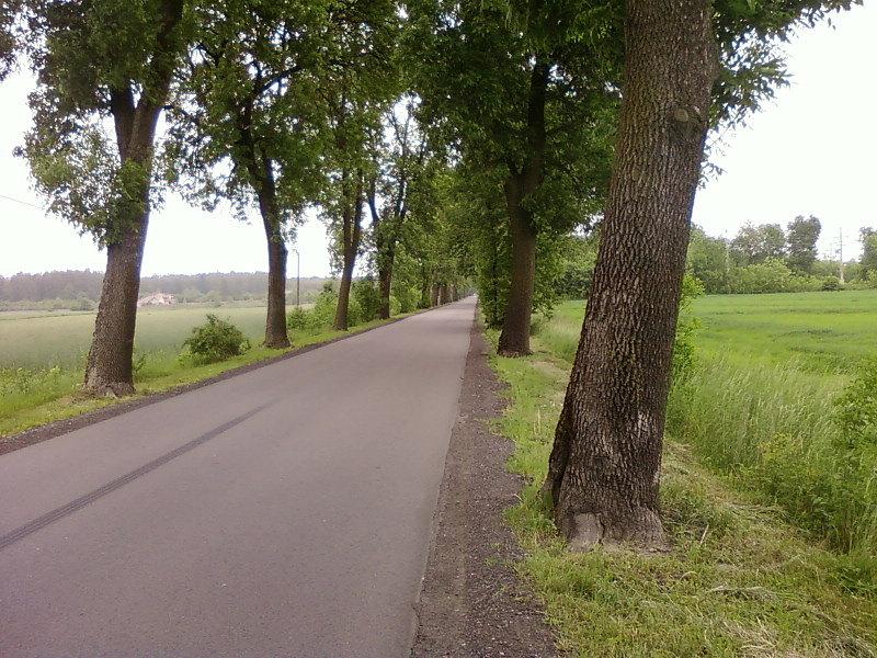 Lutomiersk - Aleksandrów