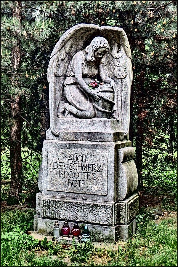 W parku na Pilczycach