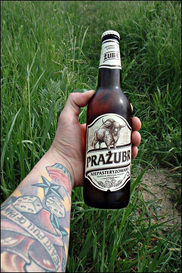 Prażubr przed Miękinią