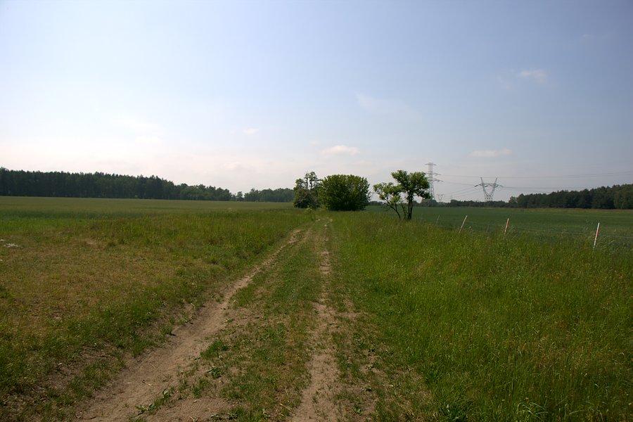 To co lubię :) mało uczęszczane polne dróżki :)