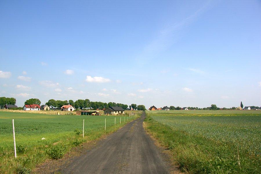 No tak, zaprowadziła mnie na drugą stronę Grzędzic :)