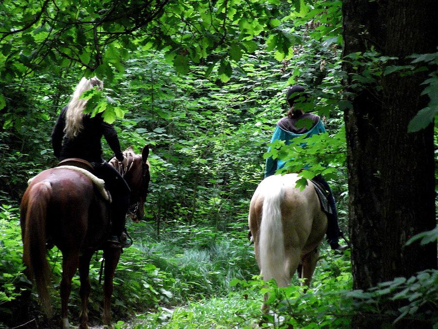 Darkovičky