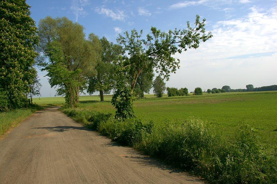 Droga z Lubowa do Klępina