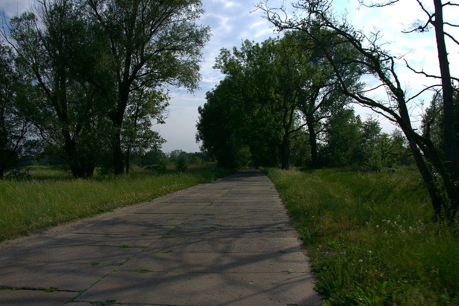 Betonką do Stargardu