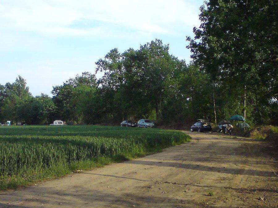Zawody (wyciągania kija z wody) wędkarskie
