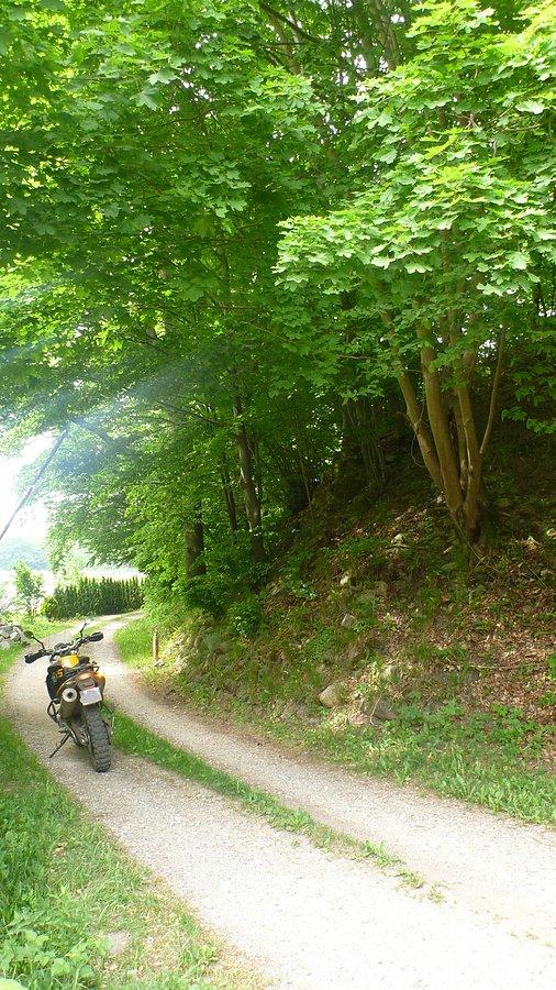 Pozostałości wiaduktu po kolejce wąskotorowej