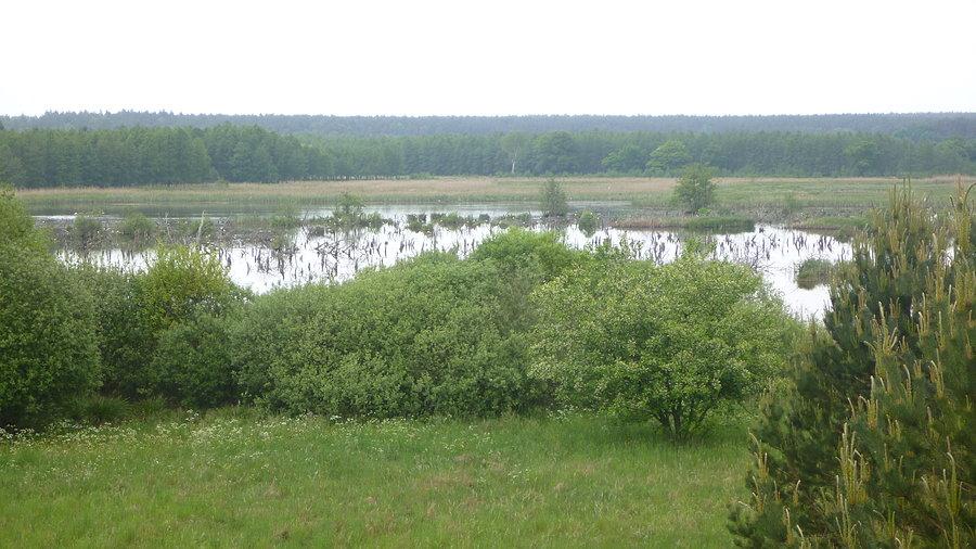 Zalewy Studnickie