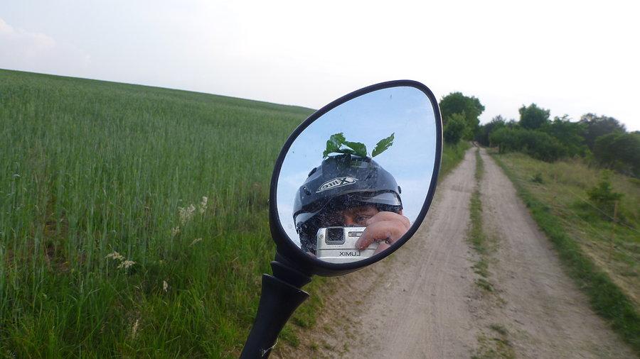 Skutki przedzierania się przez krzaki