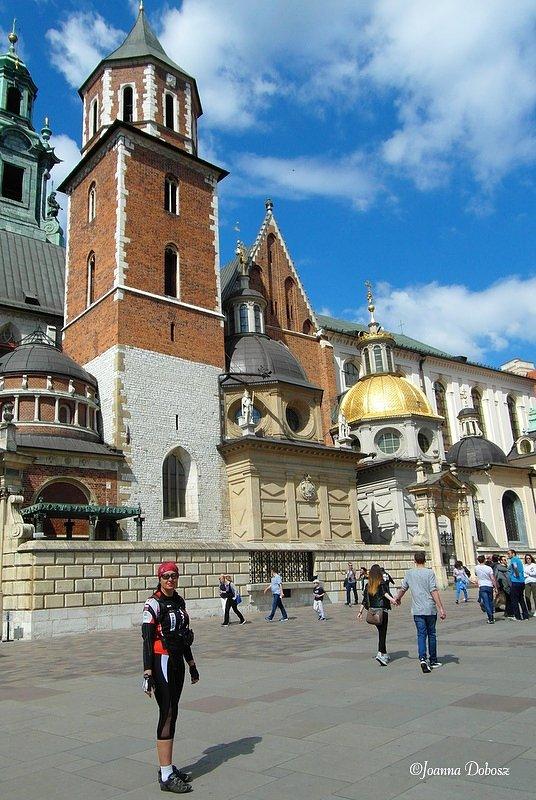 Zamek Królewski na wawelu Wawel- Kraków