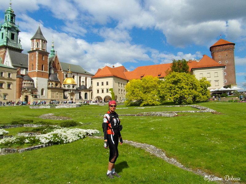 Zamek Królewski na wawelu Wawel- Kraków
