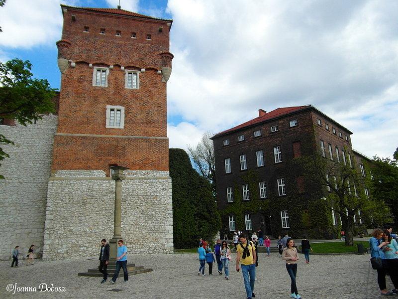 Zamek Królewski na wawelu Wawel- Kraków