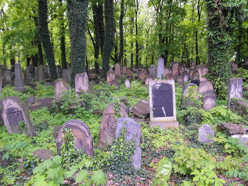 Cmentarz Żydowski - Krakowski Kazimierz