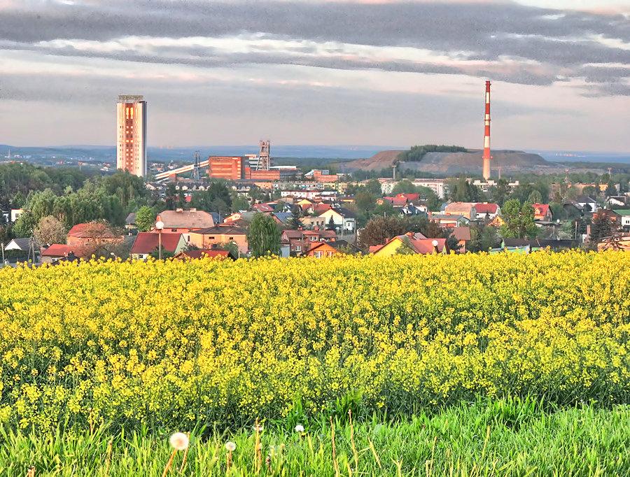 Kopalnia Ziemowit